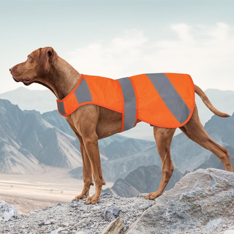 Orange High Visibility Safety Dog Vest, Hunting Jacket, Adjustable Soft Reflective Coat for Small Medium Large Dogs