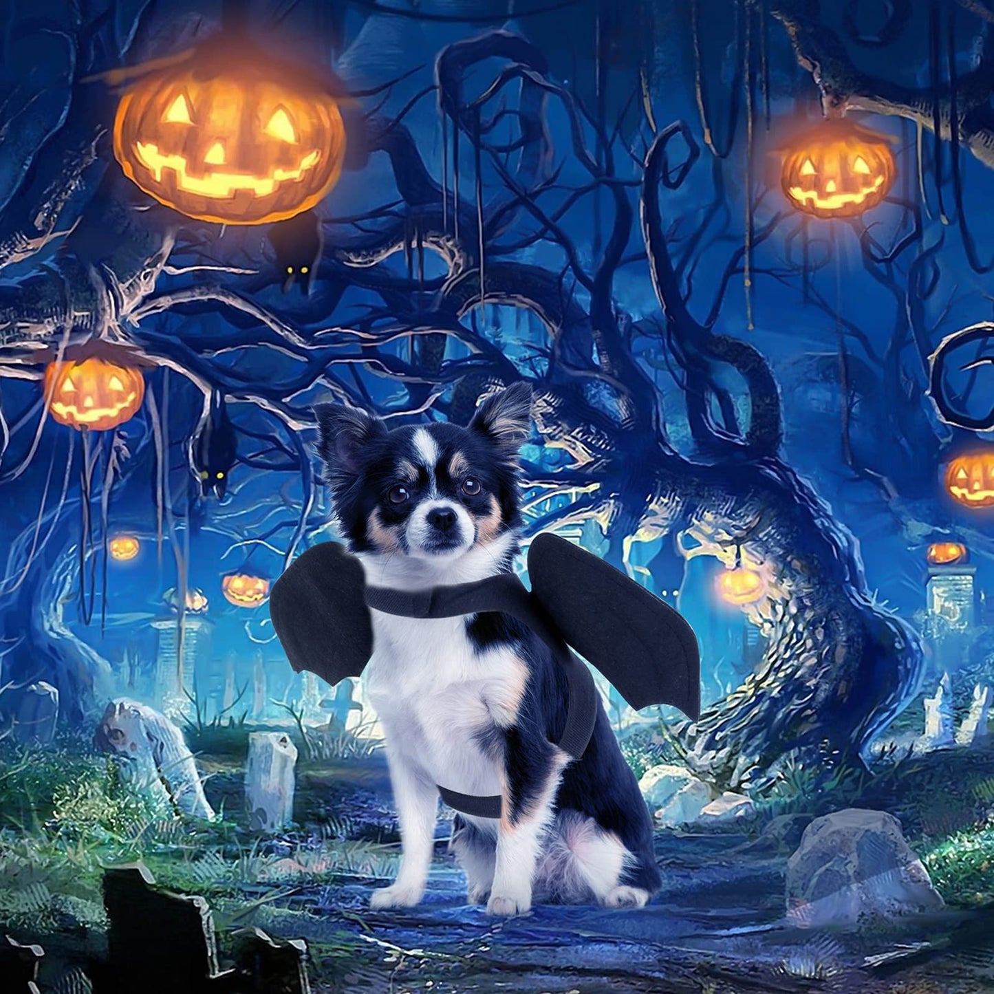 RYPET Dog Halloween Costume - Halloween Bat Wings Pet Costumes for Dogs Cats Halloween Party Medium