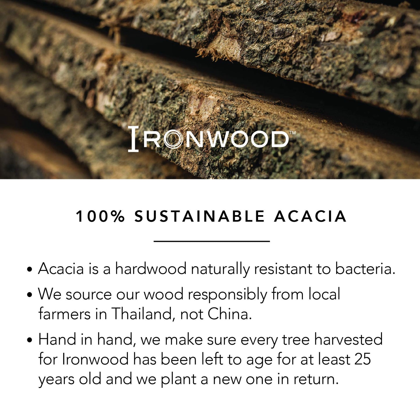 Ironwood Gourmet Nesting Bread Cutting Board with Crumb Catcher, 10.25 x 14.75 x 0.75 inches