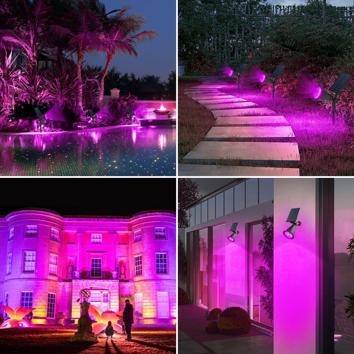 T-SUN [2 Pack] LED Solar Spotlights, Waterproof Outdoor Security Landscape Lamps, Auto-on/Auto-Off by Day, 180 Angle Adjustable for Tree, Patio, Yard, Garden, Driveway, Stairs, Pool Area(Purple)