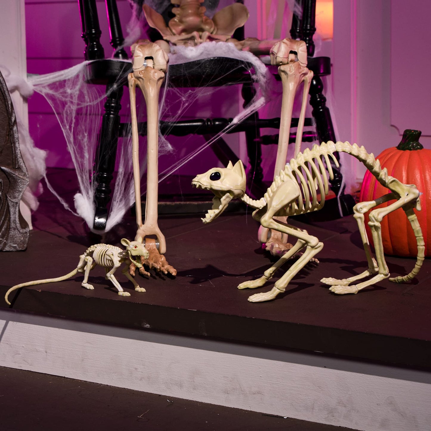 Skeleton Cat and Rat Skeleton for Halloween Decorations, Skeleton Animal Yard Decor and Reaper Bones Animals