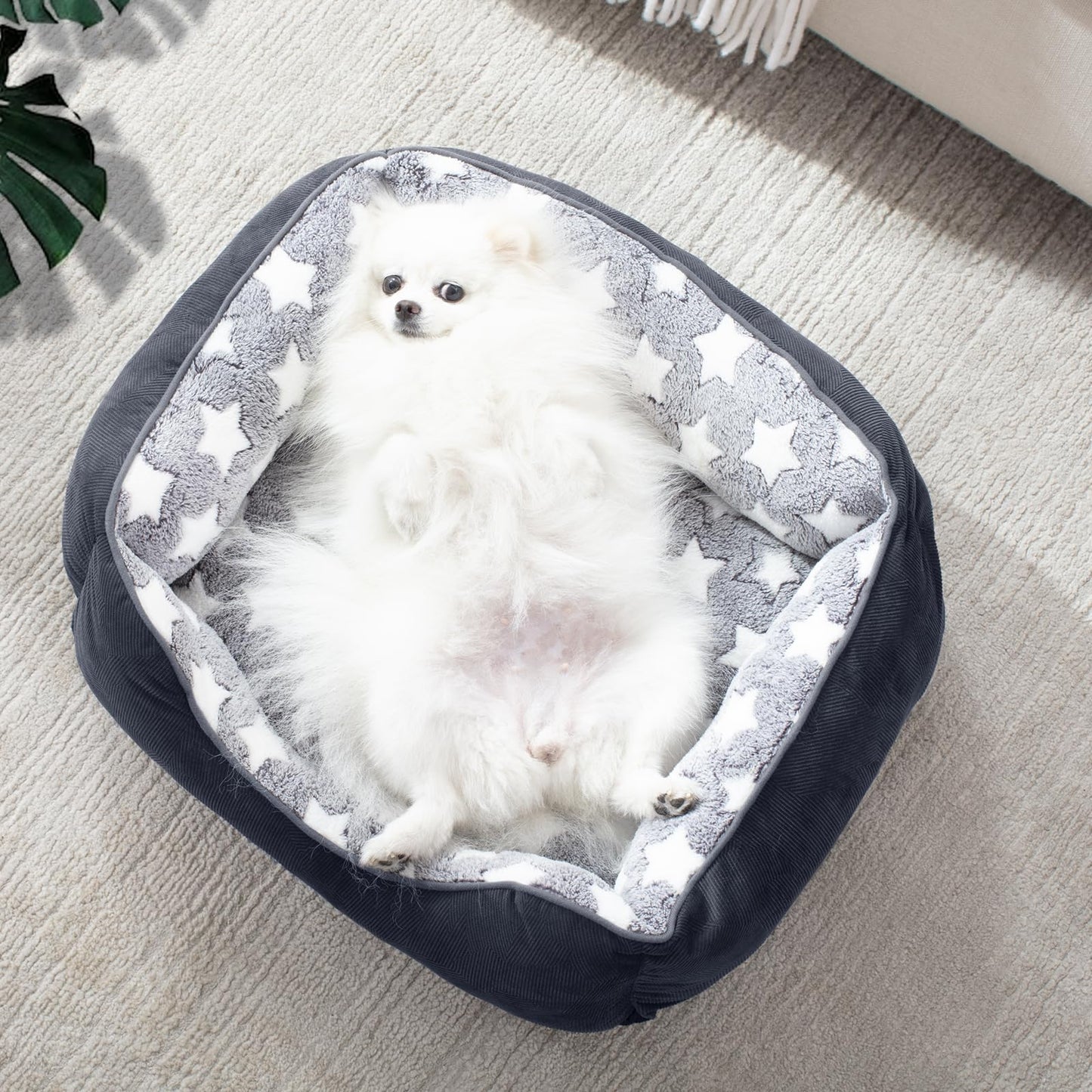 MIXJOY Medium Dog Bed Washable(64x53cm), Super Soft Cosy Dog Beds Grey Pet Bed, Premium Grey Rectangle Puppy Bed for Small Medium Large Dogs, Ideal for Labrador, Chihuahua, Springer Spaniel, etc