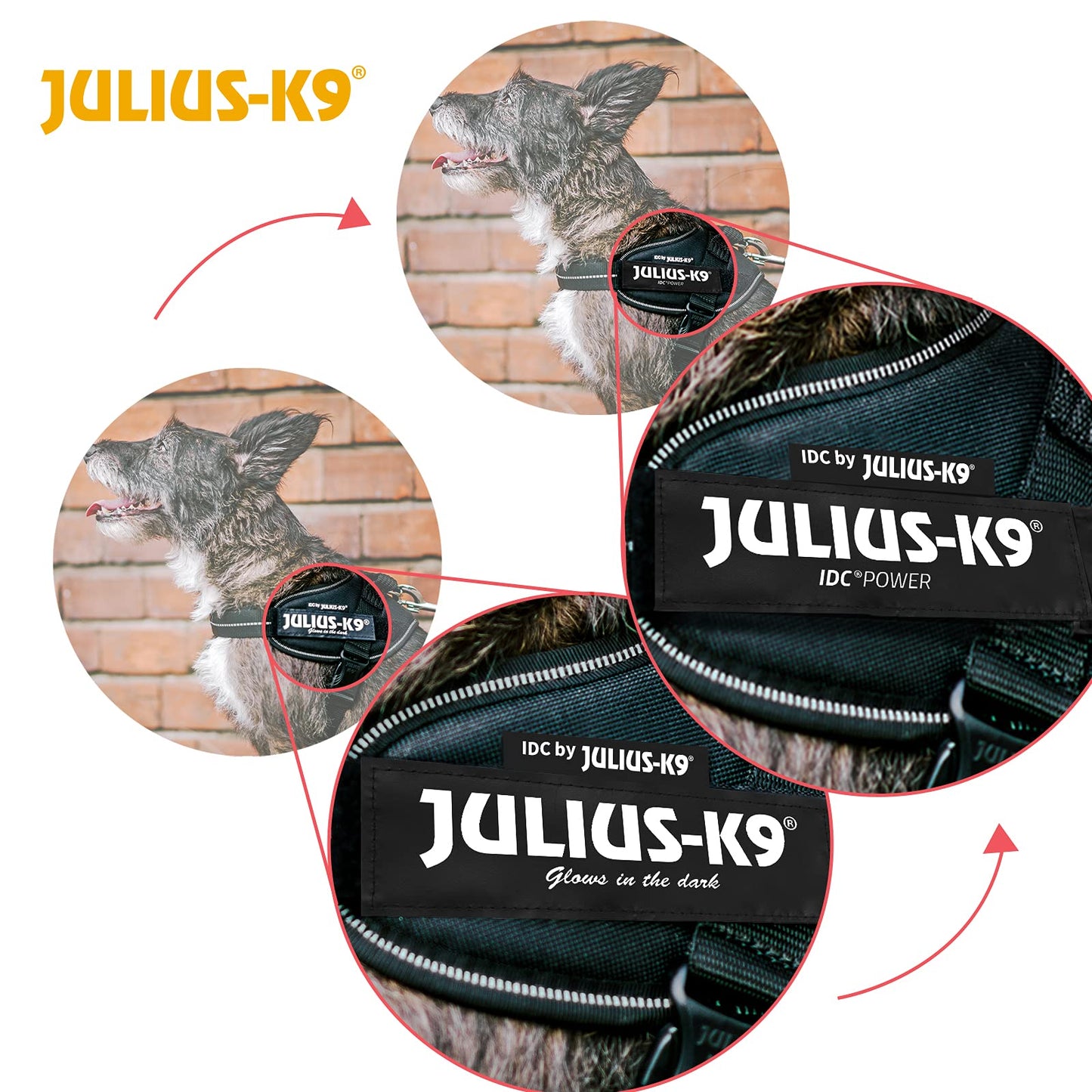 JULIUS-K9, 16IDC-P-M, IDC Powerharness, dog harness, Size: Mini, Black