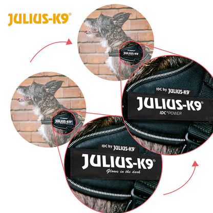 JULIUS-K9, 16IDC-P-M, IDC Powerharness, dog harness, Size: Mini, Black