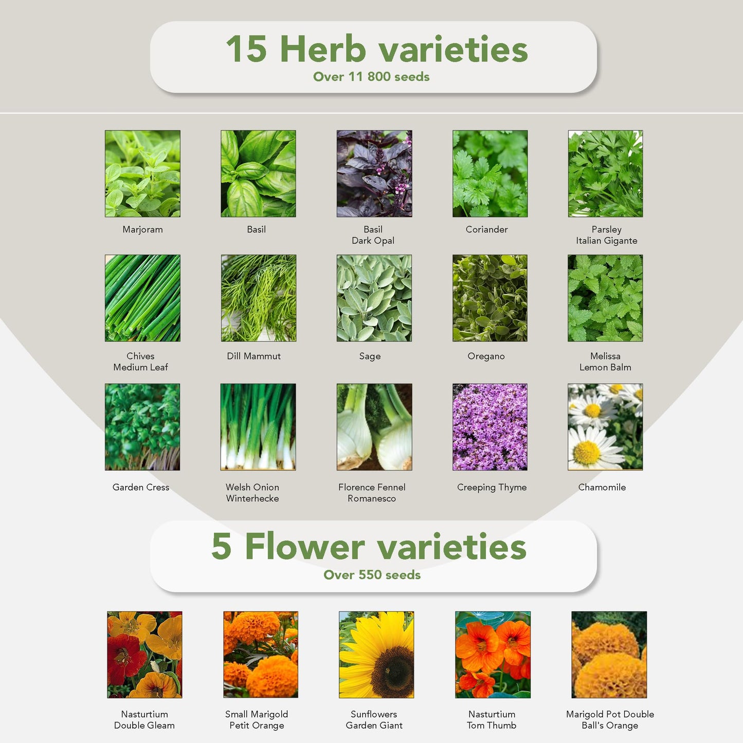 Garden Pack Grow Your Own Kit - 75 Varieties of Herb, Flower and Vegetable Seeds - Gardening Gifts for Men and Women with 30,000 Seeds for Planting