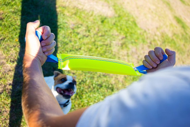 Bull Fit Dog Bite Tug Toy - Durable Fire Hose Tug with 2 Strong Handles | Perfect for Medium to Large Dogs, Tug of War & Training