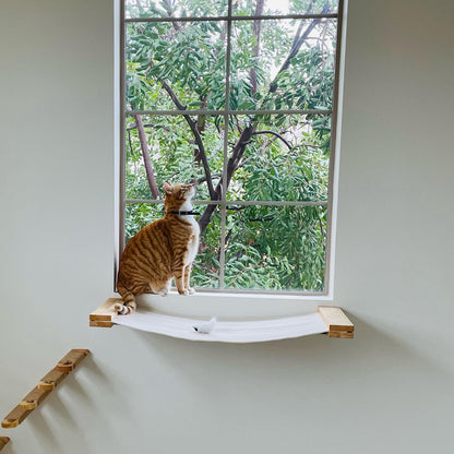 FUKUMARU Cat Wall Furniture, 34 x 13 inch Cats Hammock Shelves, Rubberwood Kitten Window Perch, Easy DIY Installation