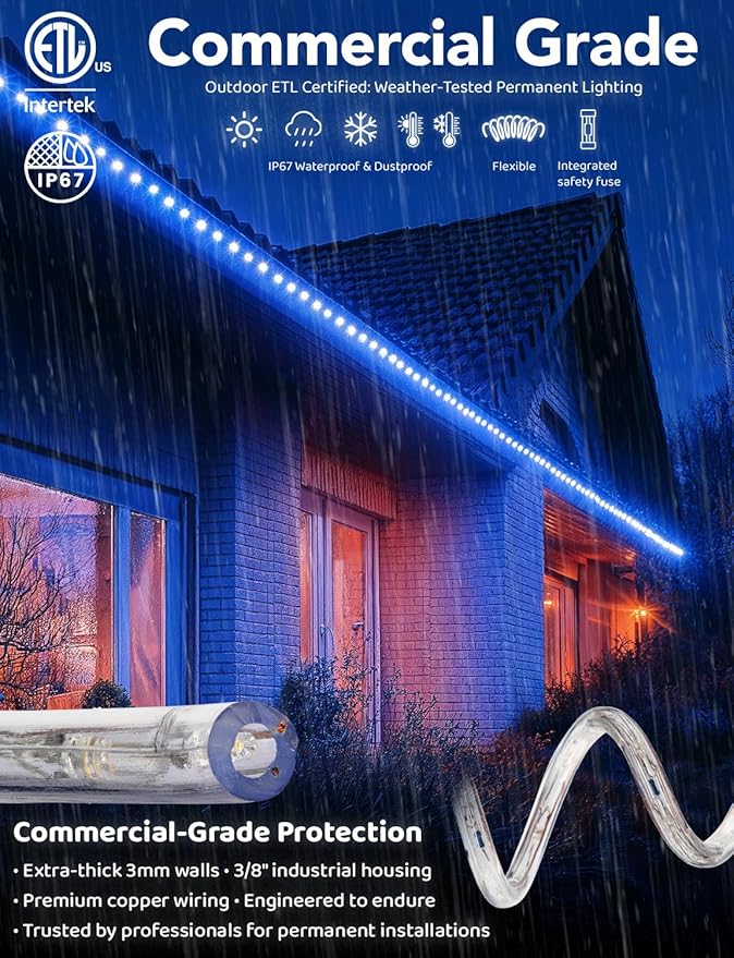 WYZworks 288LEDs 25ft LED Outside Rope Lights, Outdoor ETL Certified Waterproof Permanent 360 Degree Light Emitting, Flexible Tube, Connectable, Christmas Palm Tree Exterior Landscape, Blue