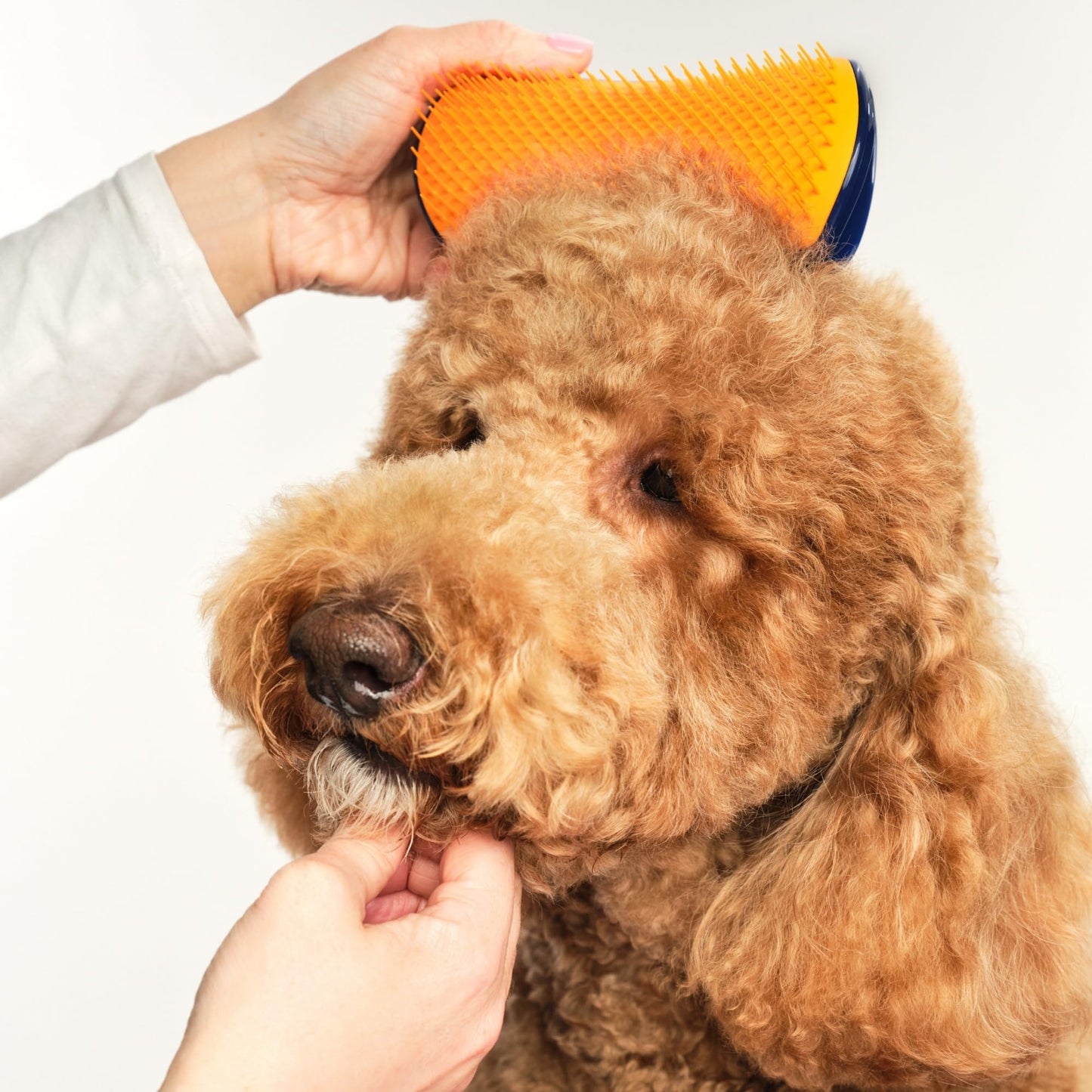 Tangle Teezer | Pet Teezer | Detangling and Dog Grooming Brush | Dry Brush or Dog Bath Brush | Navy & Orange