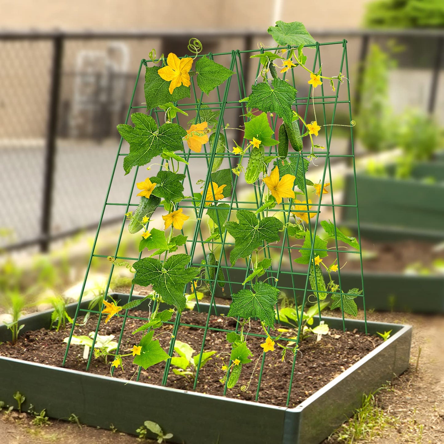 DoCred Cucumber Trellis, 2 Pack Foldable A Frame Trellis for Raised Bed Climbing Plants, Vegetables, Includes Plant Support Clips, Twist Ties, Plastic Ties- Made from PVC-Coated Steel