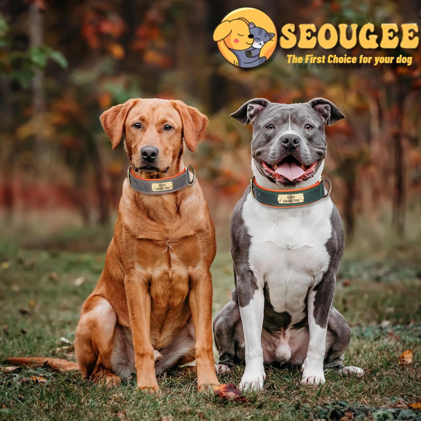 SEOUGEE Genuine Leather Dog Collar Personalised, Soft Padded Leather Dog Collars Heavy Duty with Custom Engraved Name Plate Adjustable for Small Medium Large Dogs (L, Green 35-45cm)