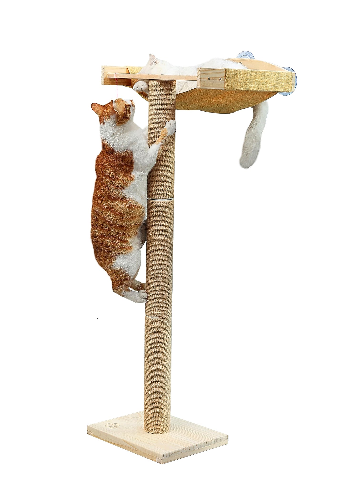 Cat Window Perch with Tall Scratching Posts, Inside 46" Climbing Tree Hammmock Mounted with Suction Cups for Sleeping,Playing and Watching Birds