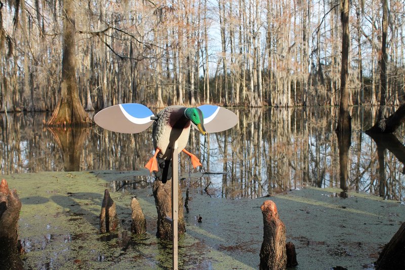 MOJO Outdoors Baby Mallard Drake Spinning Wing Decoy - Premium Waterfowl and Duck Hunting Decoy