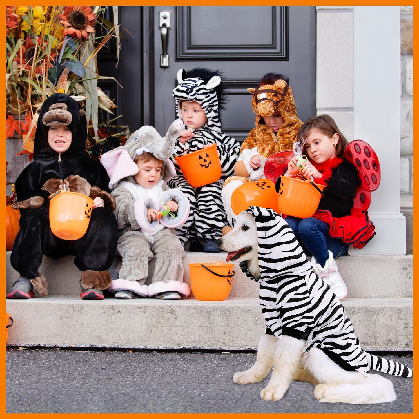 NACOCO Halloween Dog Tiger Costume - Pet White Tiger Cosplay Clothes Coat Hoodie Outfits Cute Warm Winter Apparel for Small and Medium Dogs(White, M)