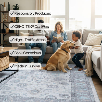 Fame Rugs Modern Oushak Rug 2x3, Doormat Vintage Turkish Gray Oriental Antique Inspired Small Area Rugs, Washable Foldable Luxury Living Room Bedroom (384GB, 2' x 3')