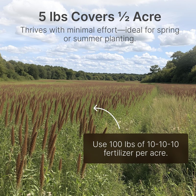 Hit List Seed® Grain Sorghum Food Plot Seeds for Deer [Annual Mix] - Deer Food Plot Seed - Sorghum Seeds for Planting - Deer Plot Seed Mix - 100% Grain Sorghum - Summer & Spring Planting - 5 lbs