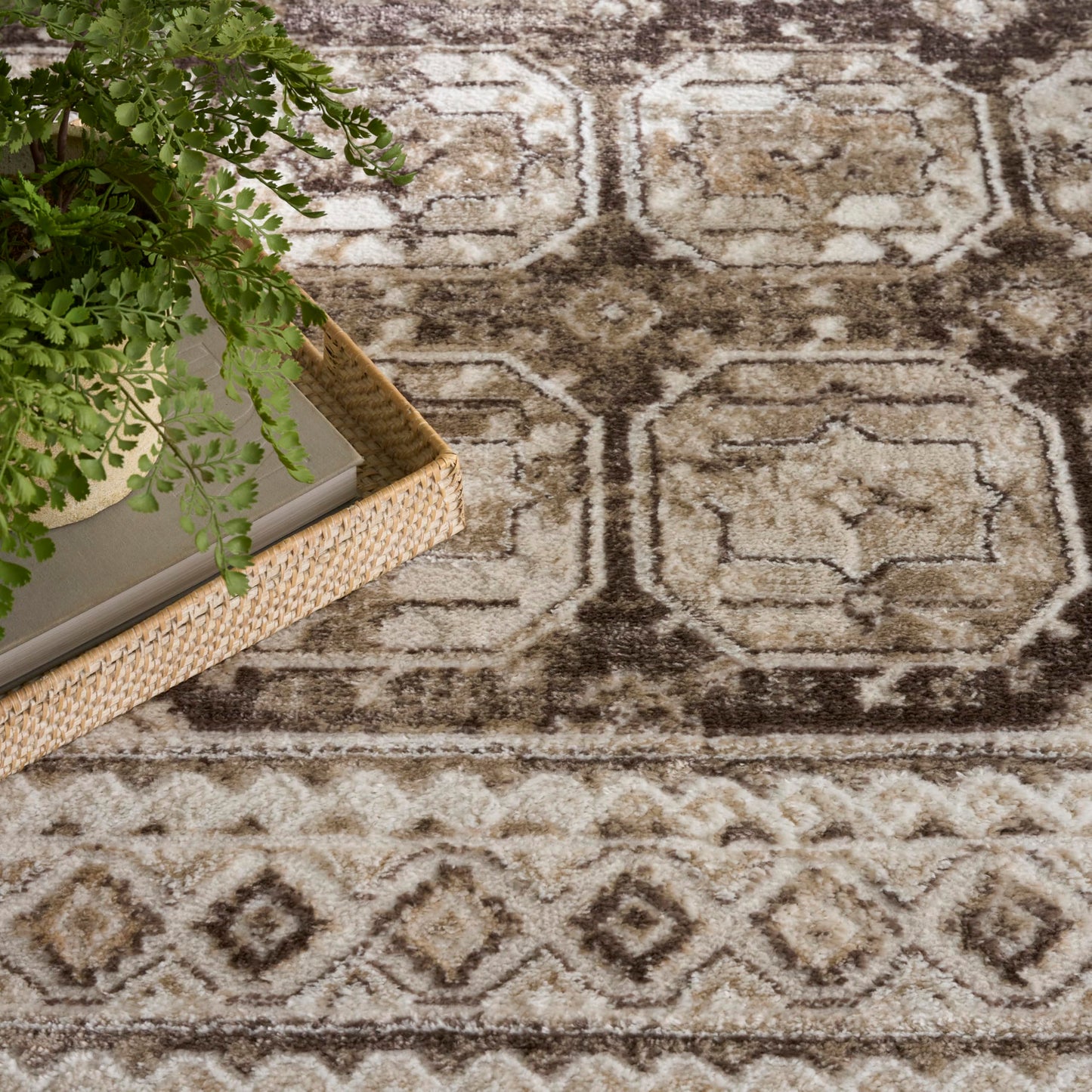 Nourison Home Dekor Ivory Brown 5'3" x 7' Area Rug - Easy Clean, Non Shedding, Bed Room, Living Room, Dining Room, Kitchen (5' x 7')
