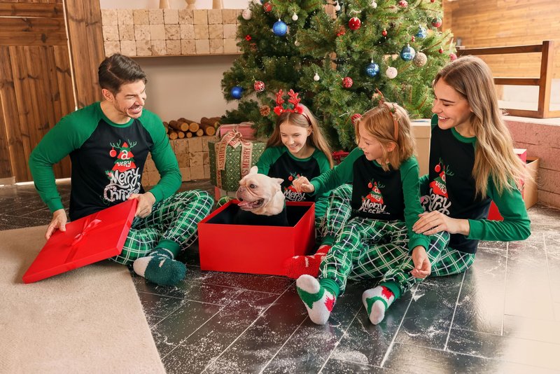 Haloumoning Family Christmas Pajamas Matching Sets Xmas PJs Sets Holiday Jammies Sleepwear Green