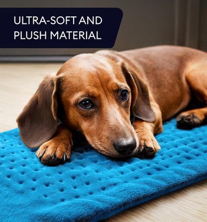 GENIANI Electric Throw - XL Electric Heating Pad for Back Pain & Cramps Relief, Birthday for Women Men Auto Shut Off, Machine Washable, Heat Pad for Neck & Shoulder, 12×24", Tabby Gray