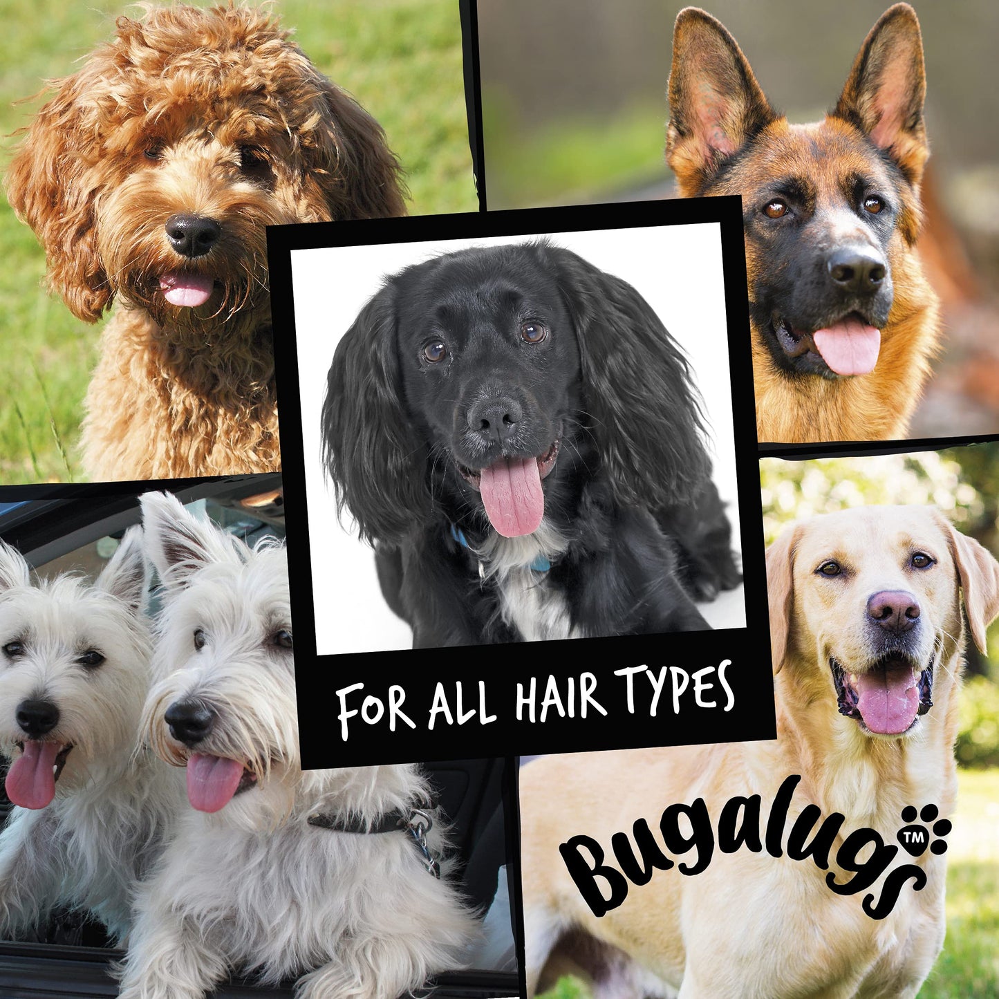 BUGALUGS Dog Shampoo with a Distinctive One in a million Fragrance - Natural dog grooming shampoo products for smelly dogs best puppy professional groom shampoo & conditioner (1x500ml)