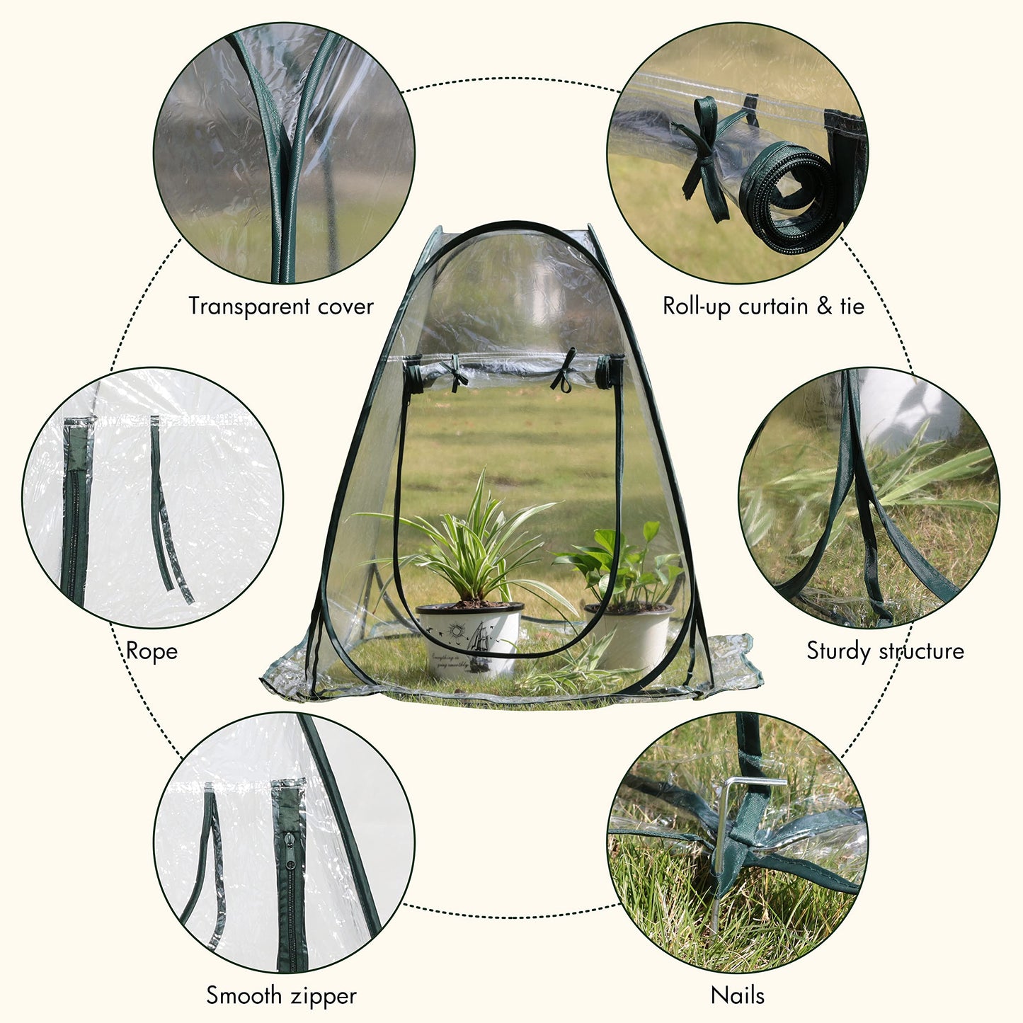 Gardzen 2-Pack 27"x27"x31" Pop up Grow Greenhouse Small Greenhouse, Portable Plant Flowers Mini Green House Cover for Outdoor & Indoor Use