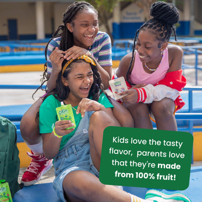 GoGo squeeZ Applesauce and Fruit Puree Variety Pack, Apple, Peach & Gimme Five!, 3.2 oz (Pack of 20), Unsweetened Fruit Snacks for Kids, Gluten Free, Nut Free and Dairy Free, BPA Free Pouches