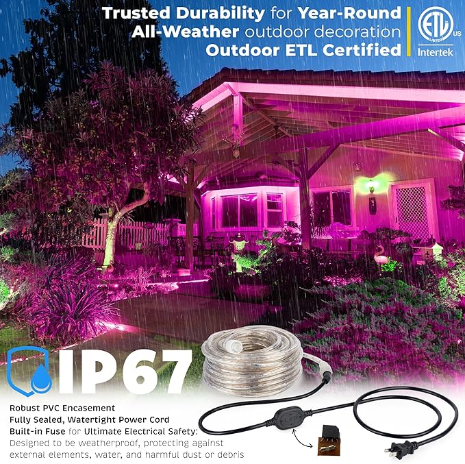 WYZworks 288LEDs 25ft LED Outside Rope Lights, Outdoor ETL Certified Waterproof Permanent 360 Degree Light Emitting, Flexible Tube, Connectable, Christmas Palm Tree Exterior Landscape, Pink