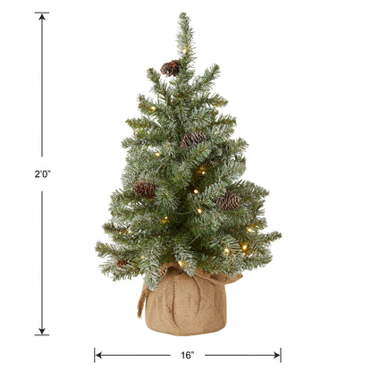 National Tree Company 2 ft Pre-Lit Flocked Mini Artificial Christmas Tree, 50 Clear LED Lights, 75 Tips, Pinecones, Burlap Base, Timer, Green