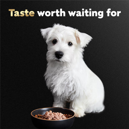 Cesar Puppy Wet Dog Food Classic Loaf in Sauce Chicken & Beef Recipe, 3.5 oz. Easy Peel Trays (24 Count, Pack of 1)