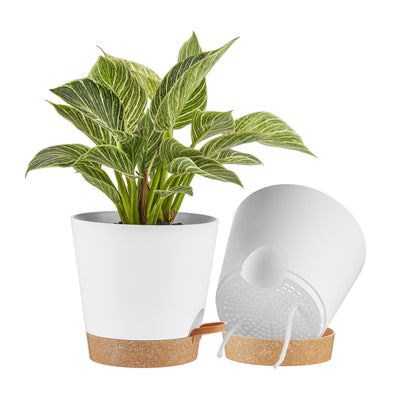 FaithLand 2-Pack 8 Inch Planter Pots for Indoor Outdoor Plants, Self Watering Flower Pots with Deep Reservoir, White with Terracotta …