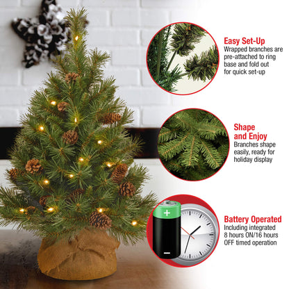 National Tree Company 3 ft Pre-Lit Mini Artificial Christmas Tree, Pinecones, 35 Clear LED Lights, 144 Tips, Timer, Burlap Base, Green