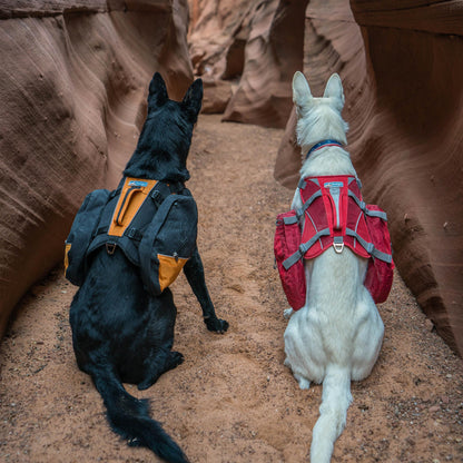 Kurgo Baxter Dog Backpack, Hiking Pack for Dogs, Lightweight, Reflective, Black/Orange
