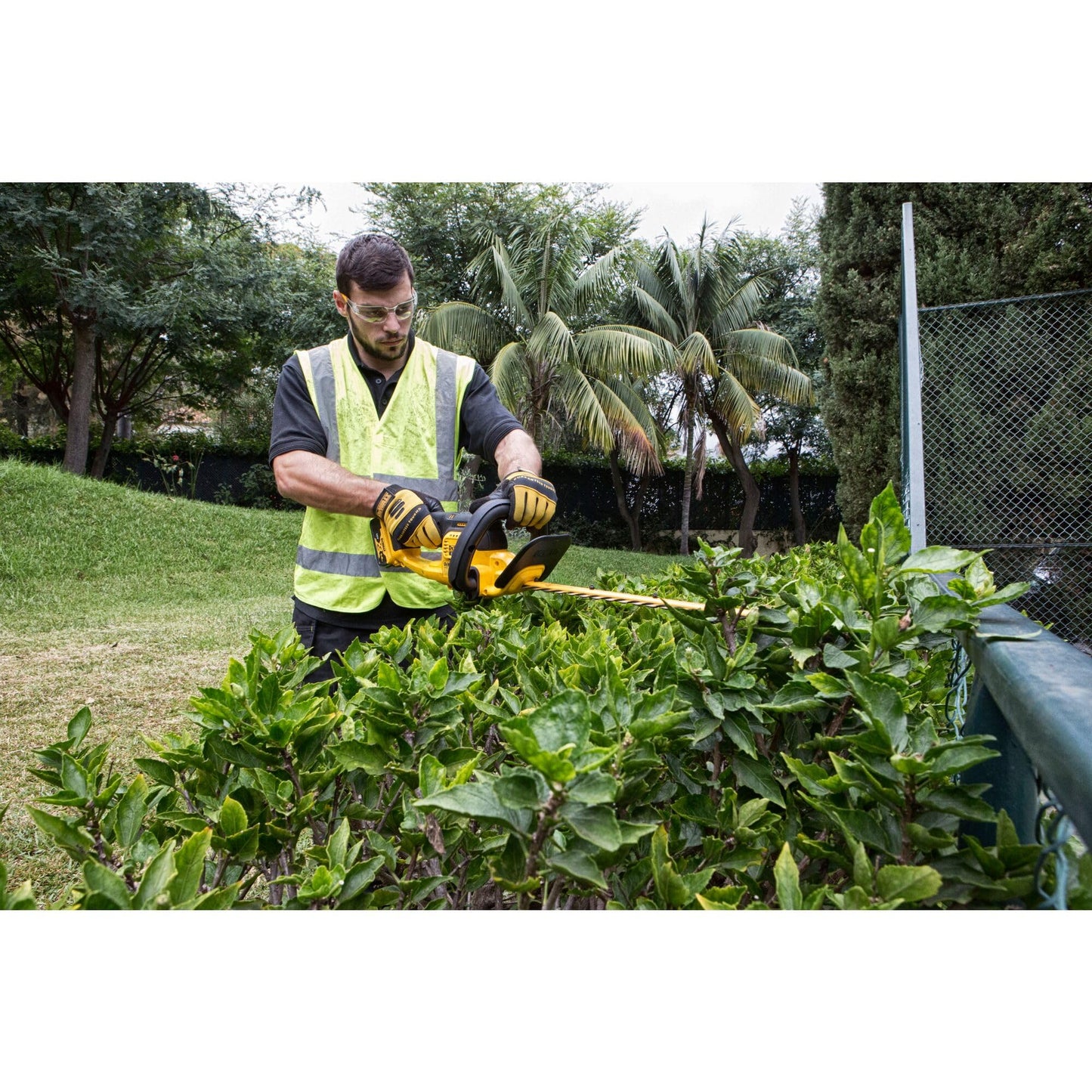 DEWALT DCM563P1-GB 18 V XR Hedge Trimmer, 1 x 5 Ah, Yellow