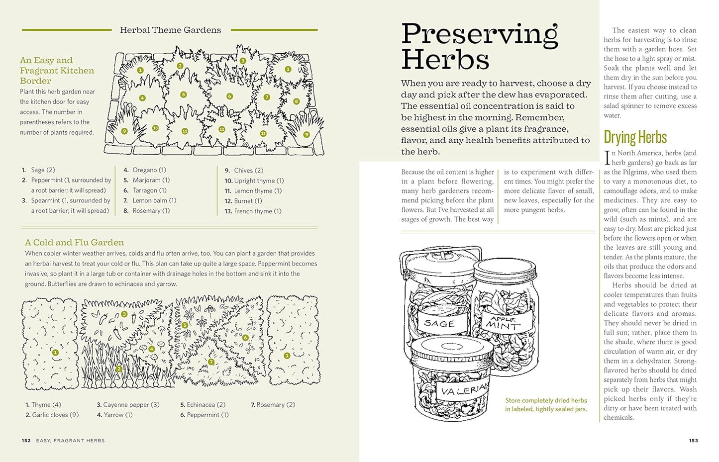 The Backyard Homestead: Produce all the food you need on just a quarter acre!