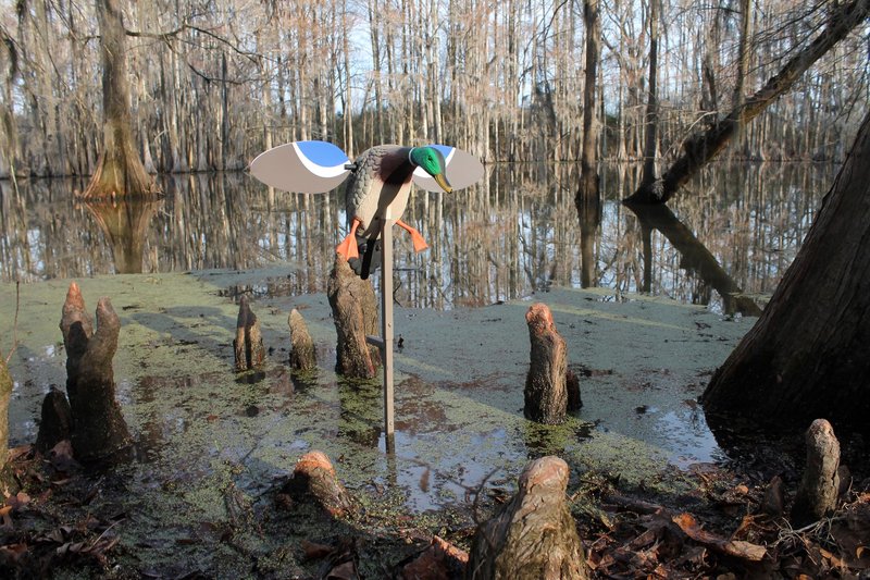 MOJO Outdoors Baby Mallard Drake Spinning Wing Decoy - Premium Waterfowl and Duck Hunting Decoy