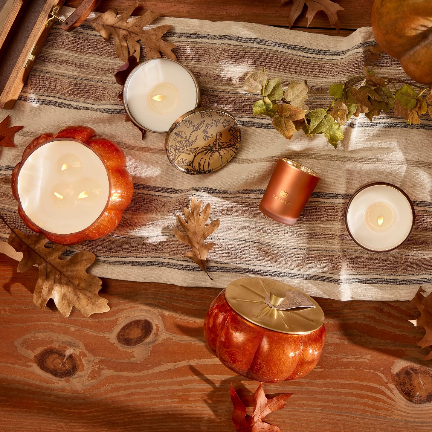 Thymes Scented Candles for Home Decor - Luxury Home Fragrance Gifts for Women & Men - Fall Candles with Creamy Pumpkin, Nutmeg, & Cinnamon - Burnt Orange (Pumpkin Laurel, 6.5 oz)
