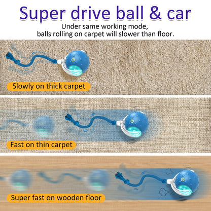 Giociv Interactive Cat Toys Ball for Indoor Cats Fast Rolling on Carpet, Chirping & Motion Activate Cat Toys (Blue)