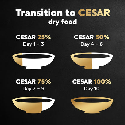 Cesar Small Breed Dry Dog Food Filet Mignon Flavor and Spring Vegetables Garnish, 12 lb. Bag