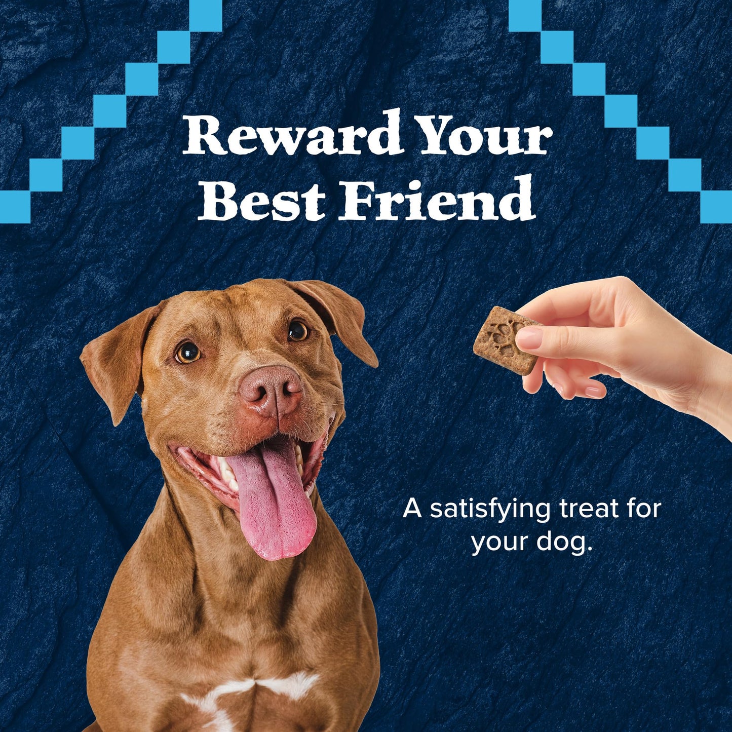 Blue Buffalo Wilderness Trail Treats High Protein Grain Free Dog Biscuits Crunchy Dog Treats, Duck Recipe, 10-oz Bag