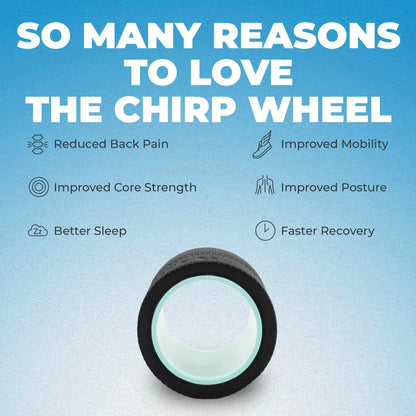Chirp Wheel Foam Roller - Targeted Back & Neck Pain Relief, Muscle Massage, Trigger Point Therapy, High-Density Foam Tool for Physical Therapy, Stretching & Exercise, 500lbs Capacity, 4 Inch Mint