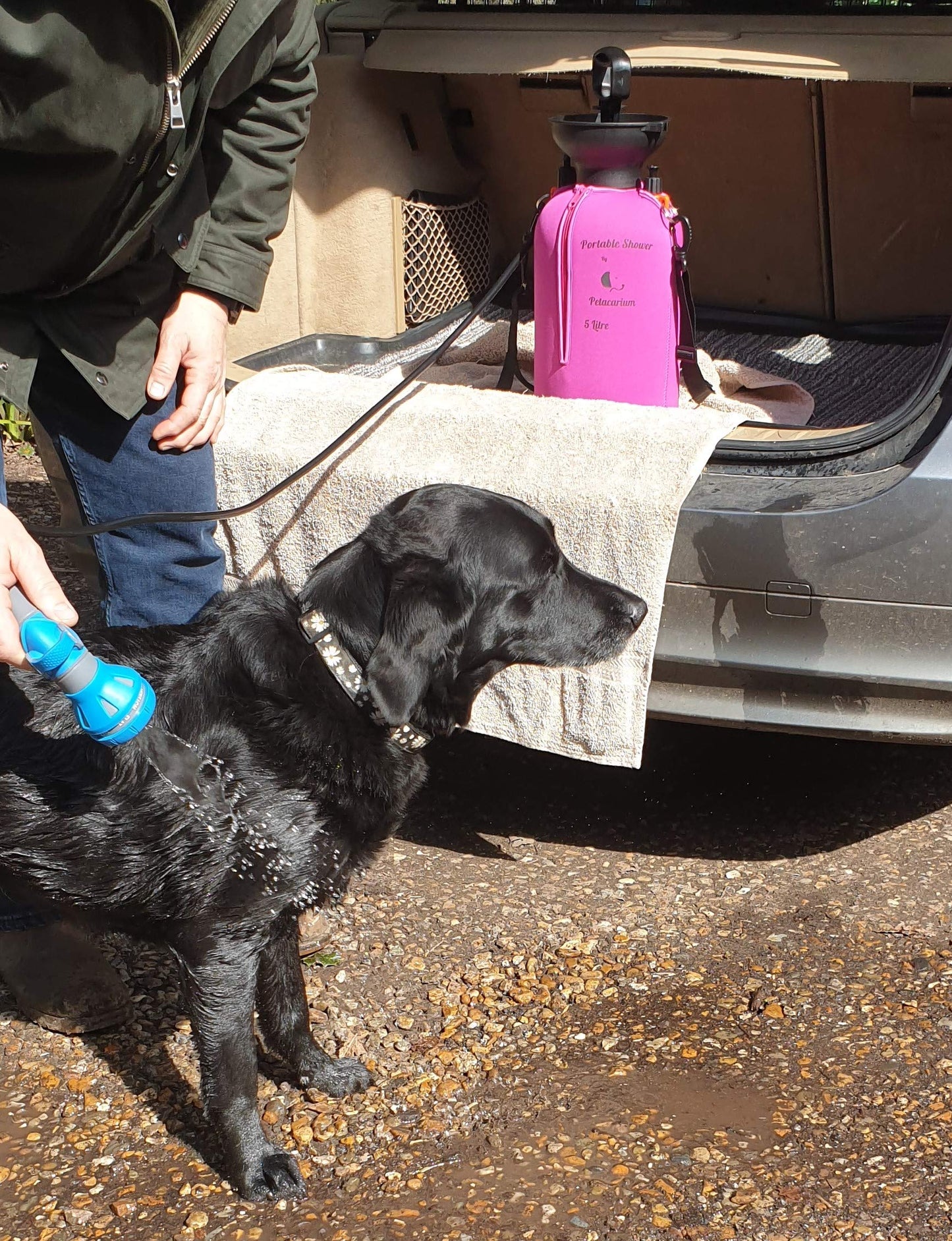 Petacarium Insulated Portable Shower (8 Litre, Aqua) for Dogs, Camping, Paddleboarding, Muddy Walks