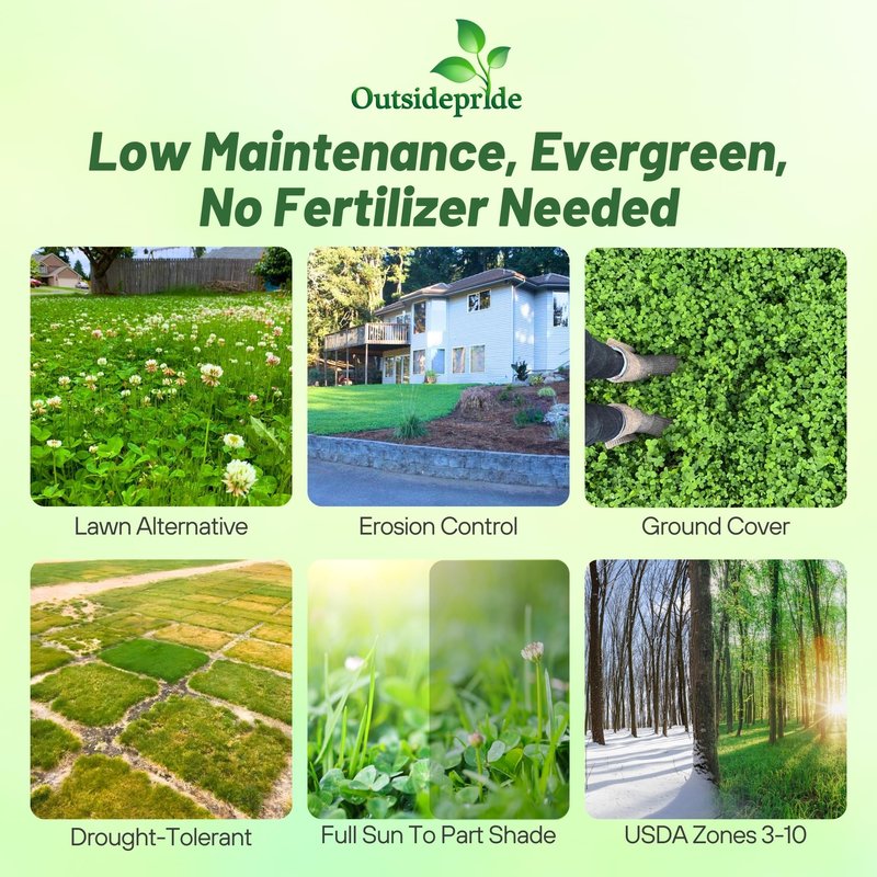Outsidepride Perennial White Dutch Clover Seed - 1 lbs. Nitrocoated, Inoculated Clover Seeds for Lawn Alternative, Erosion Control, Food Plots, Ground Cover, & Pasture Mixtures in USDA Zones 3-10