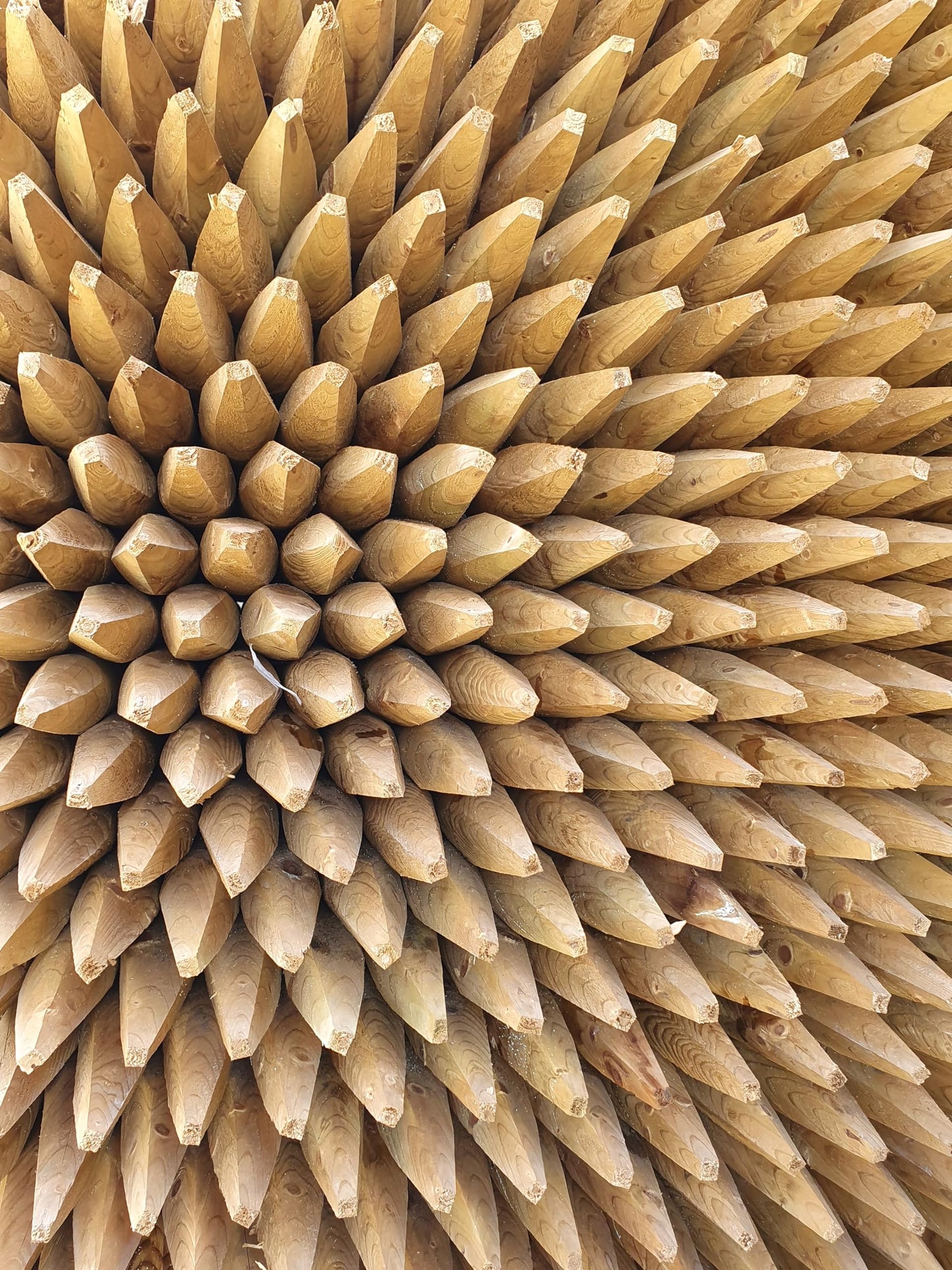 Premium Round Wooden Stakes 1.2m x 50mm – Pack of 10 Pressure-Treated Softwood Stakes for Durable Garden Fencing, Tree Support & Landscaping Projects