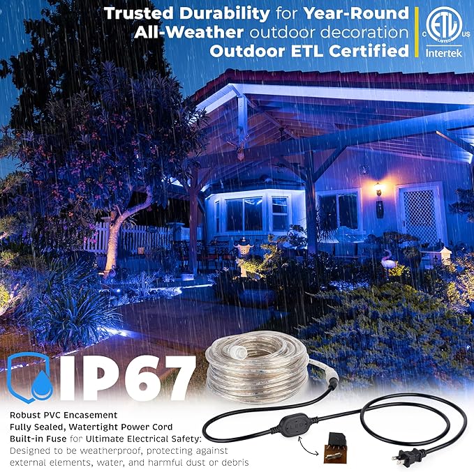 WYZworks 288LEDs 25ft LED Outside Rope Lights, Outdoor ETL Certified Waterproof Permanent 360 Degree Light Emitting, Flexible Tube, Connectable, Christmas Palm Tree Exterior Landscape, Blue