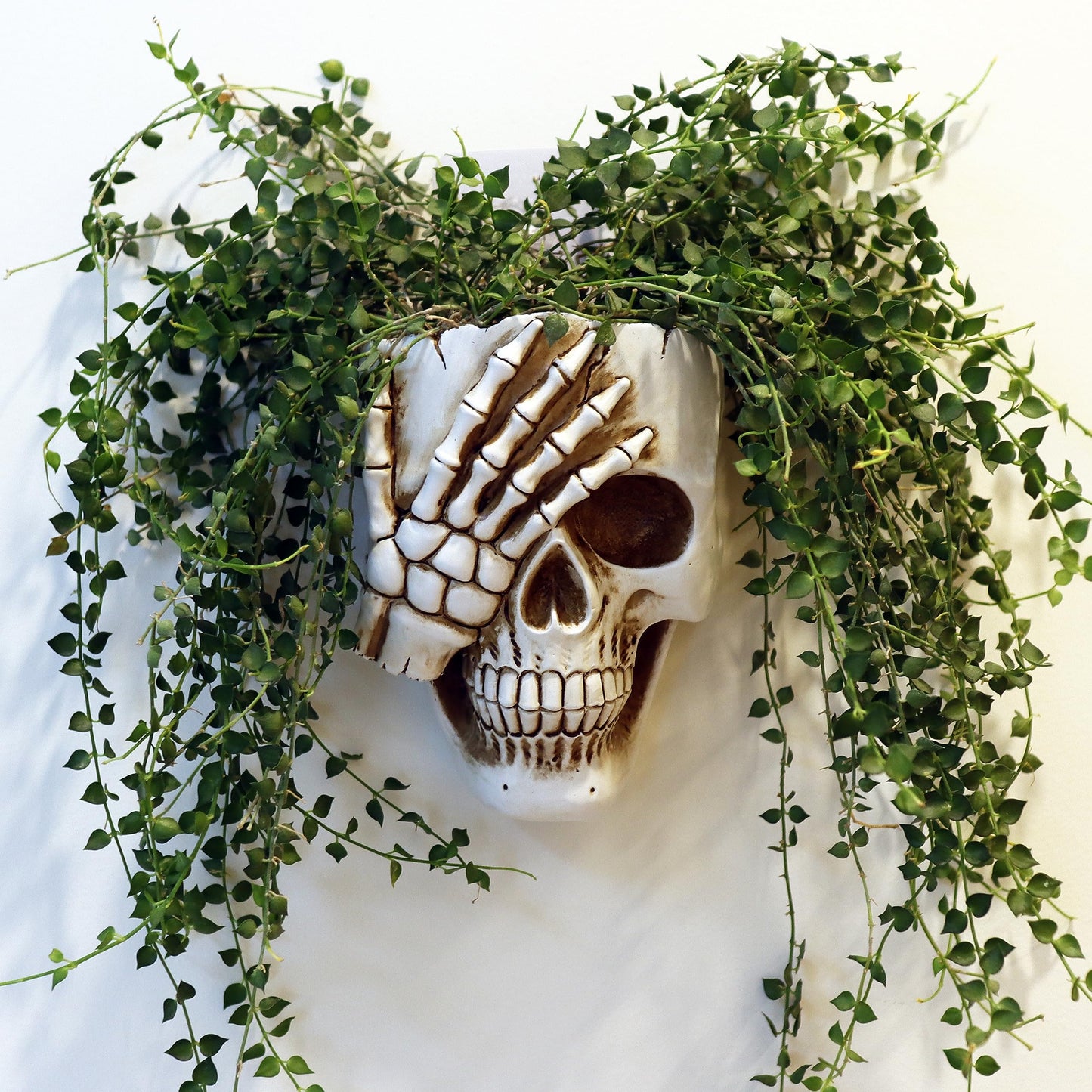 Dolkgy Skull Wall Planter for Home Décor, Resin Skeleton Gothic Planter for Indoor Outdoor Plants Decorations, White Hanging Skull Vase Unique Spooky Face Flower Pot Head Planters