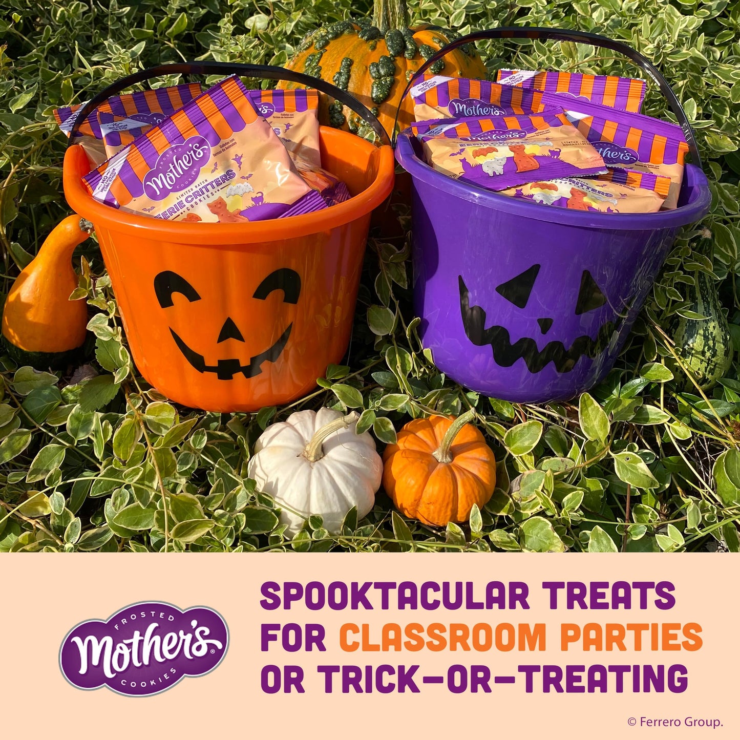 Mother’s Circus Halloween Animal Cookies, Snack Pack Halloween Treats for Kids, Individually Wrapped Halloween Cookies, Cats and Bats Frosted Animal Cookies with Sprinkles, 30ct Box
