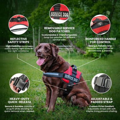 Industrial Puppy Service Dog Vest with Hook and Loop Straps & Matching Service Dog Leash Set - Harnesses from XXS to XXL - Harness Features Reflective Patch and Comfortable Mesh Design