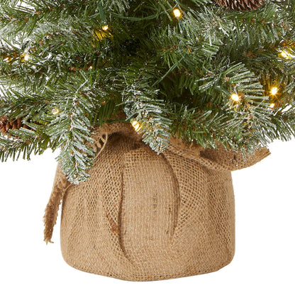 National Tree Company 2 ft Pre-Lit Flocked Mini Artificial Christmas Tree, 50 Clear LED Lights, 75 Tips, Pinecones, Burlap Base, Timer, Green