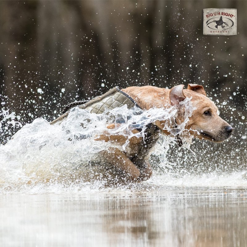 Rig'Em Right Waterfowl Bloodline Elite Dog Vest for Duck Hunting with Ultra Comfortable 3mm Neoprene 3-Layer Construction, Flotation Foam, Heavy-Duty Canvas, and More (Optifade Marsh, M)