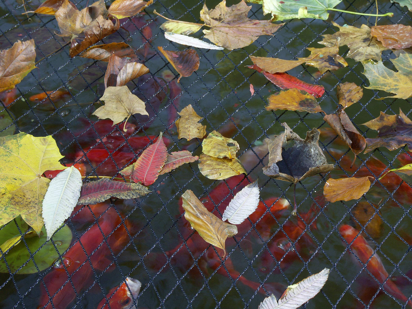 Blagdon 1022378 Clearview Pond Cover Netting, Strong Double Weave, Black, Fine, with 6 Fixing Pegs, Net Size 3m x 2m (10’ x 6’ 6”), Protects Pond